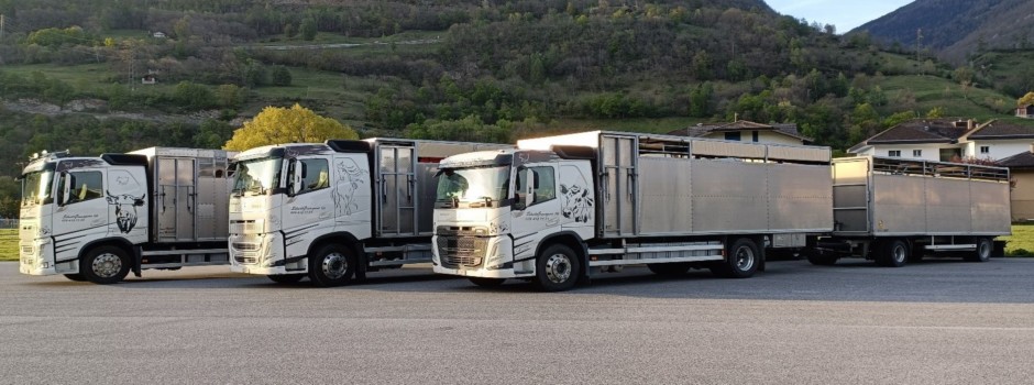 Camions.jpg