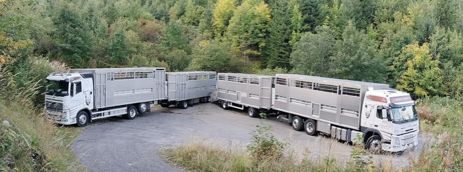 Camions2.jpg